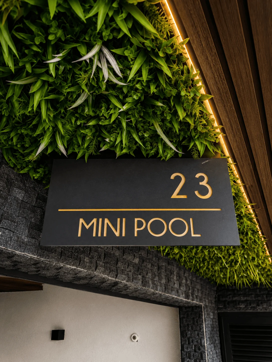 Suite Mini Pool — interior